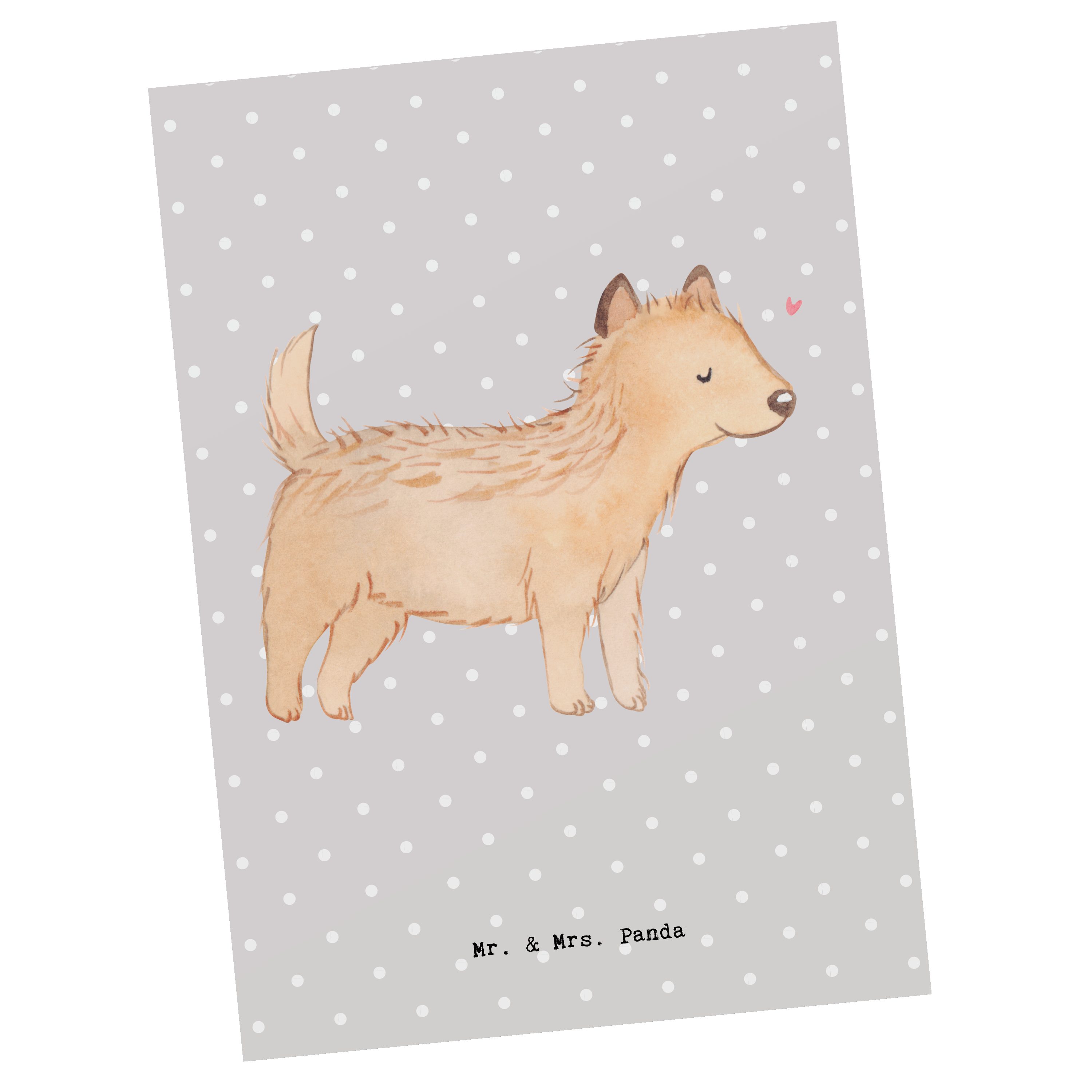 Geschenk, Mr. Moment Schenken, - Mrs. Dankeskarte Grau Cairn - Terrier Postkarte Pastell & Panda