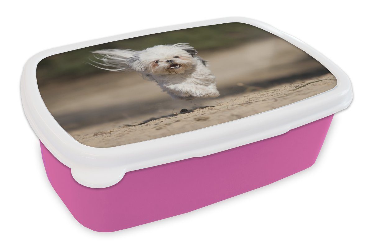 MuchoWow Lunchbox Ein Shih Tzu Hund schwebt mit seinen Beinen über dem Boden, Kunststoff, (2-tlg), Brotbox für Erwachsene, Brotdose Kinder, Snackbox, Mädchen, Kunststoff rosa