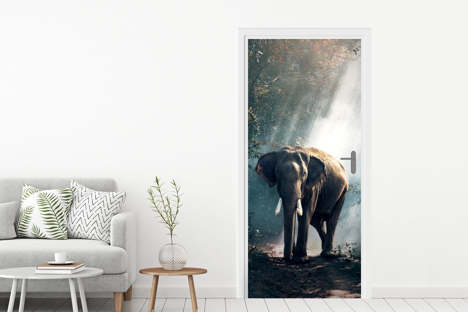 Natur cm St), - Licht - MuchoWow für Fototapete Matt, Türtapete Elefant - Tiere Türaufkleber, Wildtiere, bedruckt, 75x205 Tür, - - Wald (1