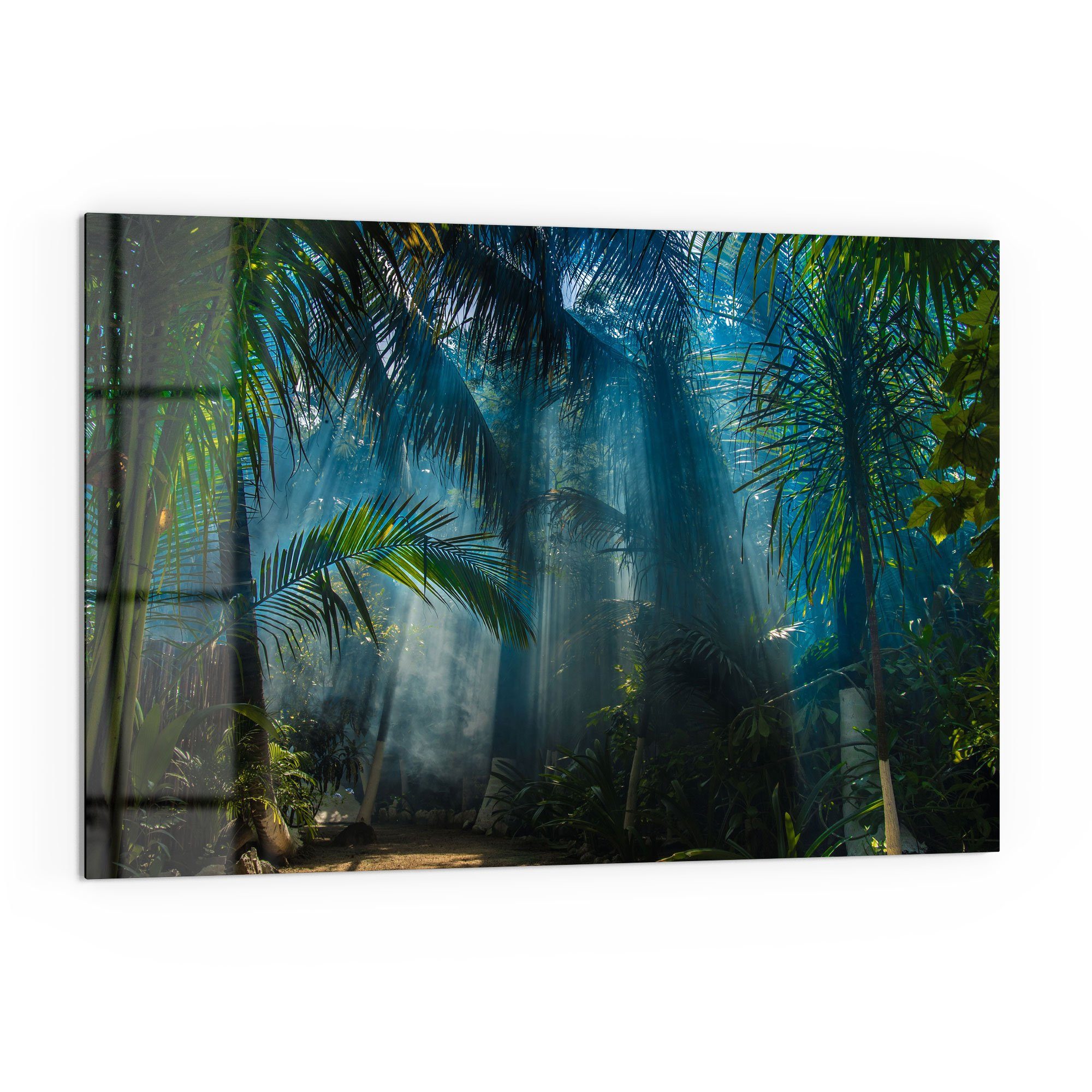 DEQORI Küchenrückwand 'Licht durchdringt Palmen', Glas Spritzschutz Badrückwand Herdblende