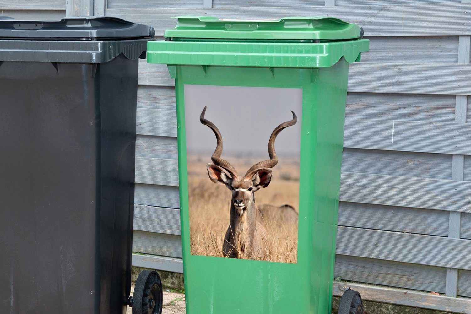 MuchoWow Wandsticker Großer Kudu im Container, Abfalbehälter Gras Mülltonne, St), hohen Mülleimer-aufkleber, (1 Sticker