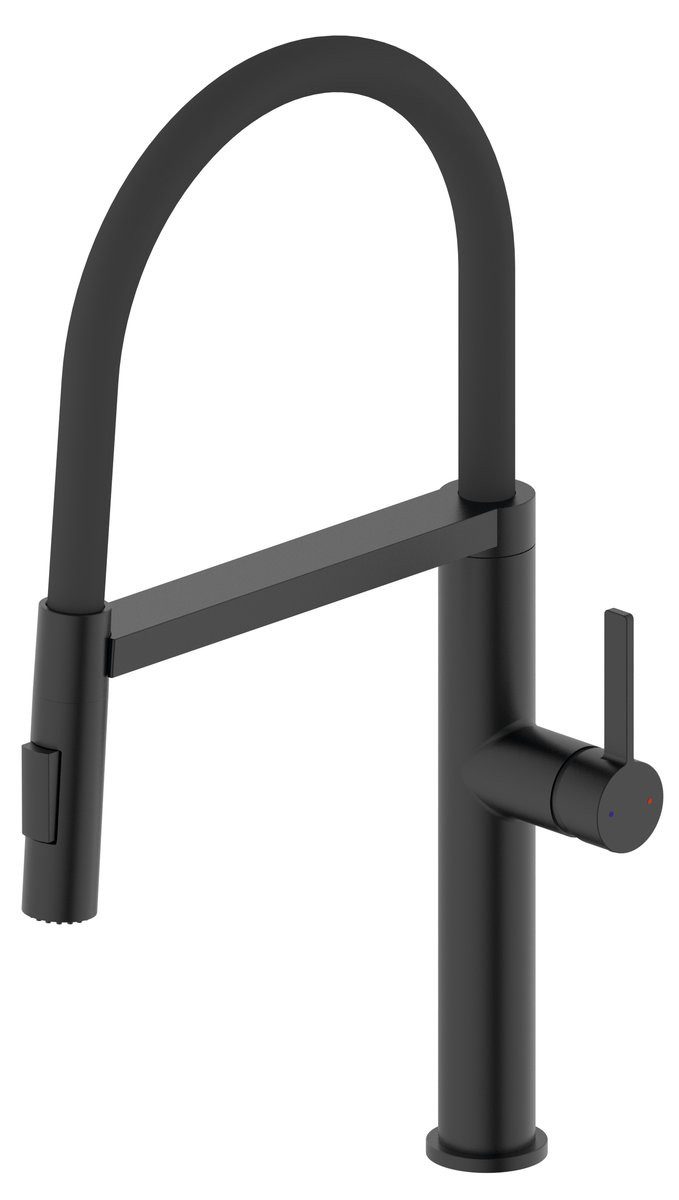 Sapho Küchenarmatur ATON Stand-Spültischarmatur mit Brause, Schwarz matt Sapho-EV125B