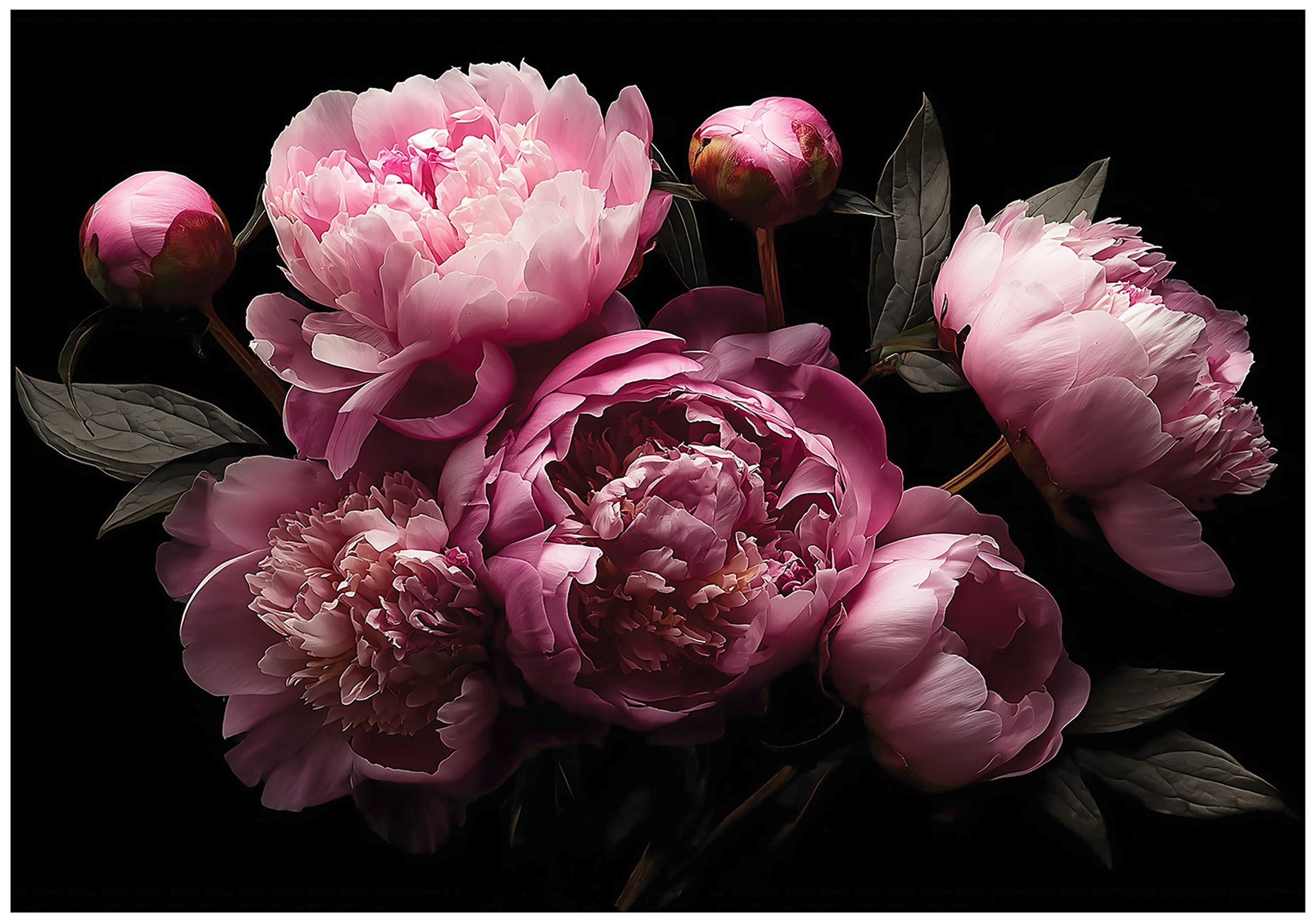 Fototapete Blumen Rosen Rosa Vlies Tapete Wohnzimmer Schlafzimmer Wandtapete