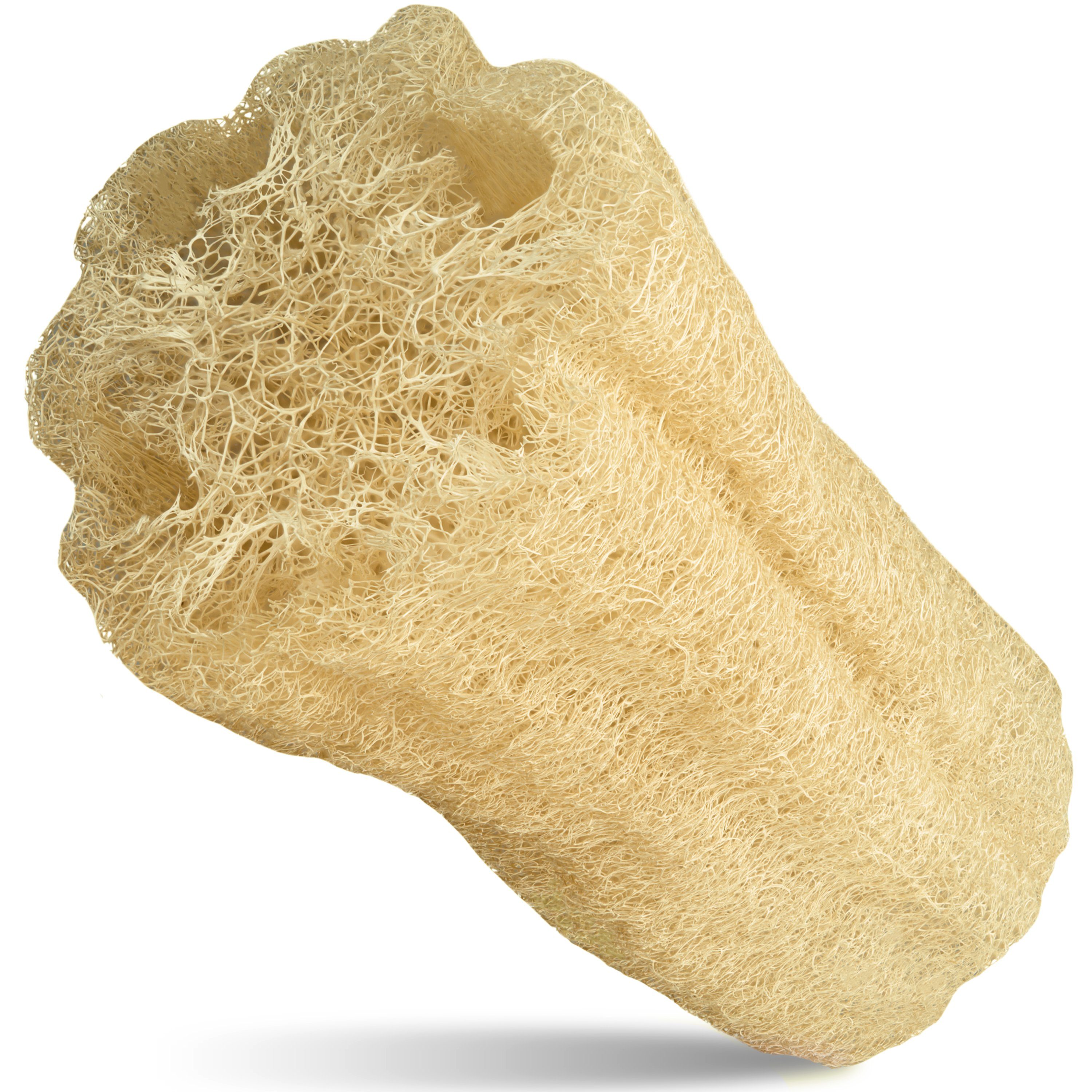 Loofah Moments Duschschwamm Loofah Moments™ - Luffaschwamm, Dein Badeschwamm für ein gesundes Peeling, Naturschwamm zur Hautpflege, 1-tlg.