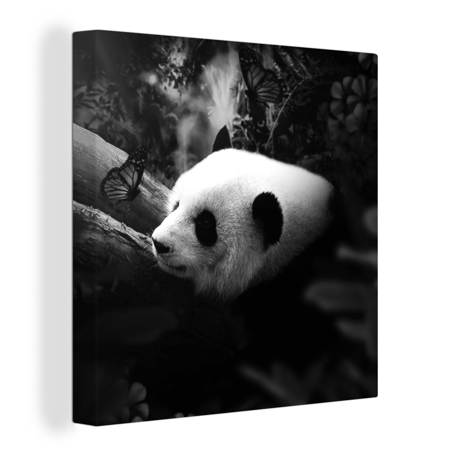 OneMillionCanvasses® Leinwandbild Tiere - Dschungel - Panda - Schwarz - Weiß, (1 St), Leinwand Bilder für Wohnzimmer Schlafzimmer