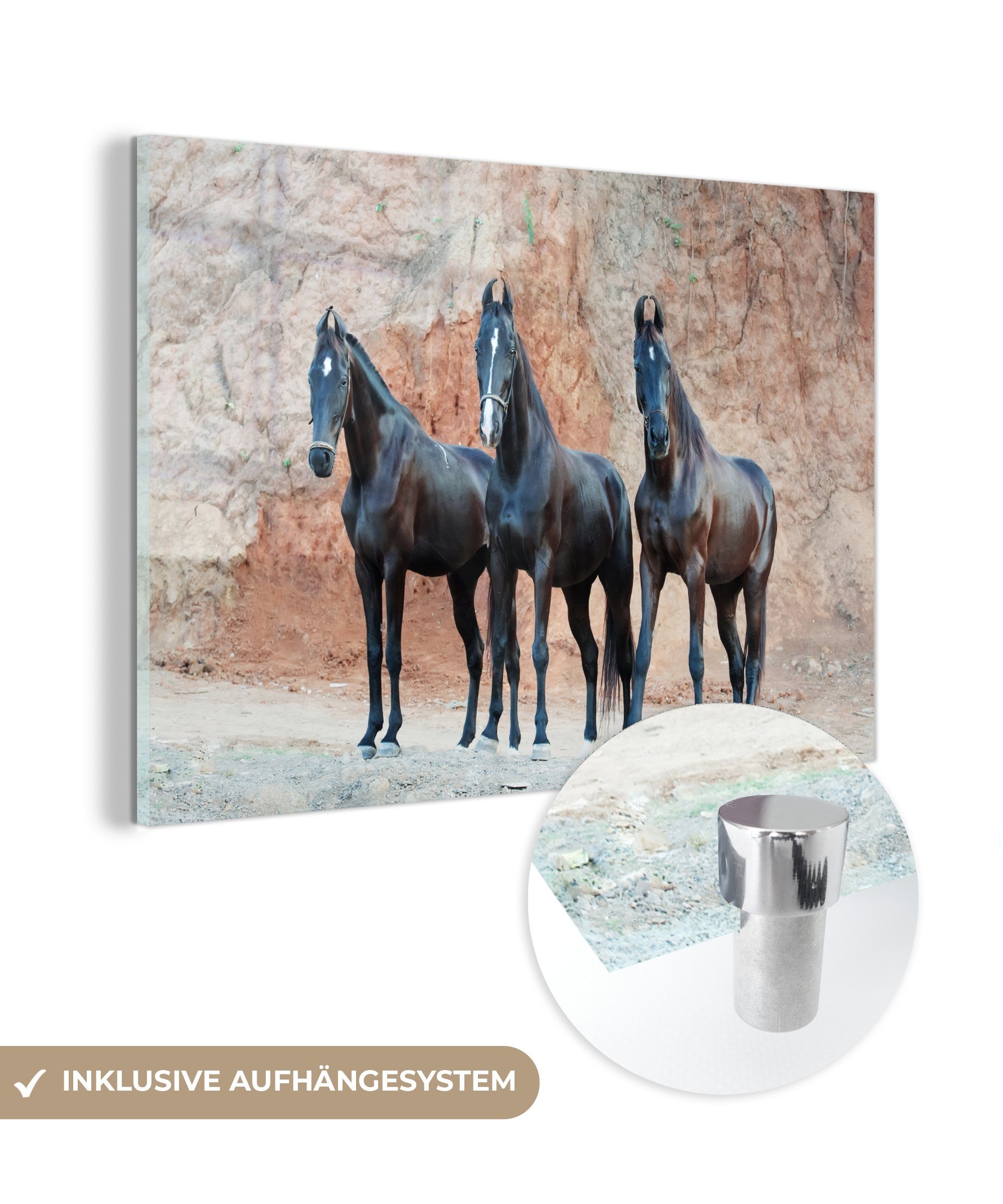 MuchoWow Acrylglasbild Pferde - Marwari - Felsen, (1 St), Acrylglasbilder Wohnzimmer & Schlafzimmer