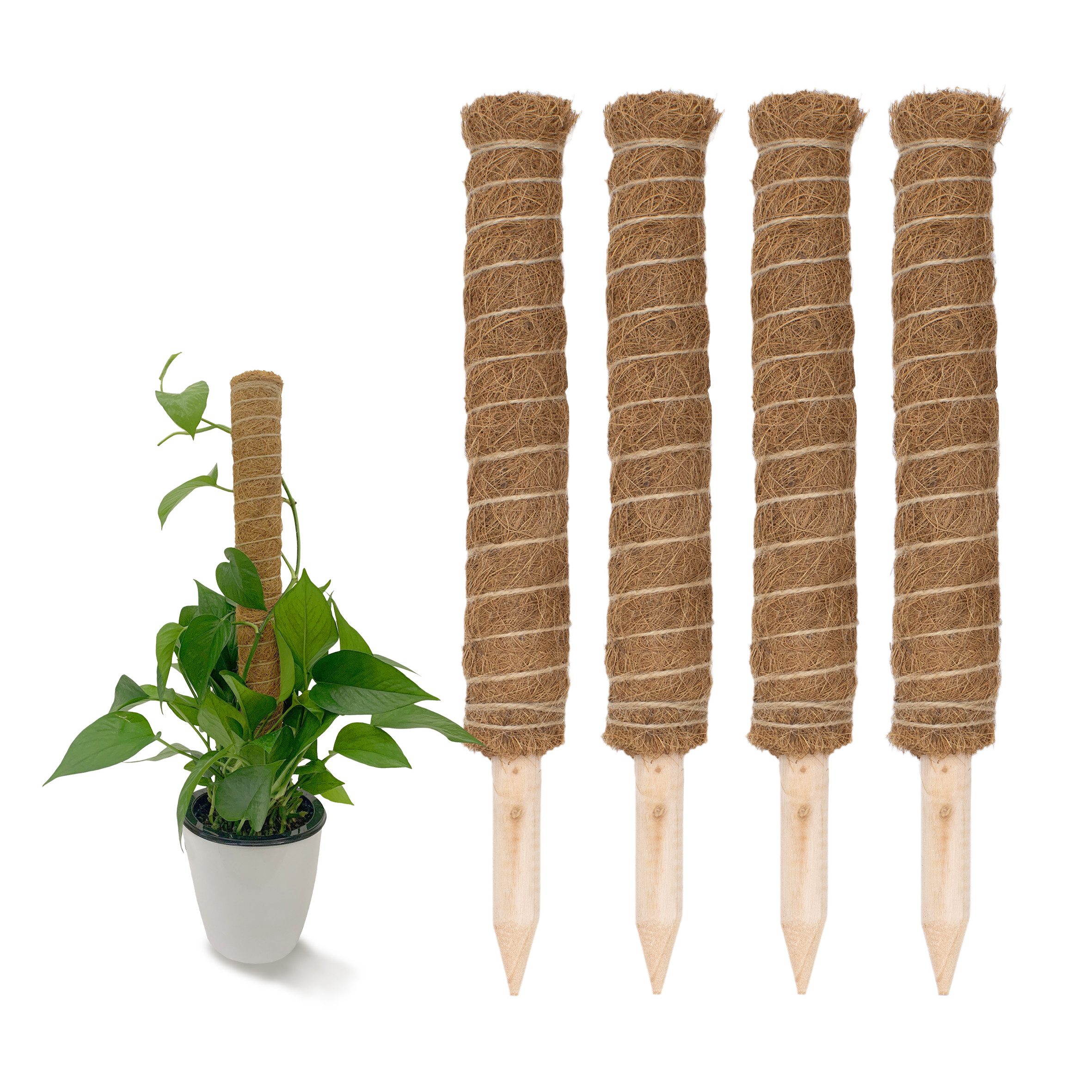 Spetebo Rankhilfe Kokos Rankstab natur - 2 / 4 Stück - Pflanzstab für Zimme günstig online kaufen