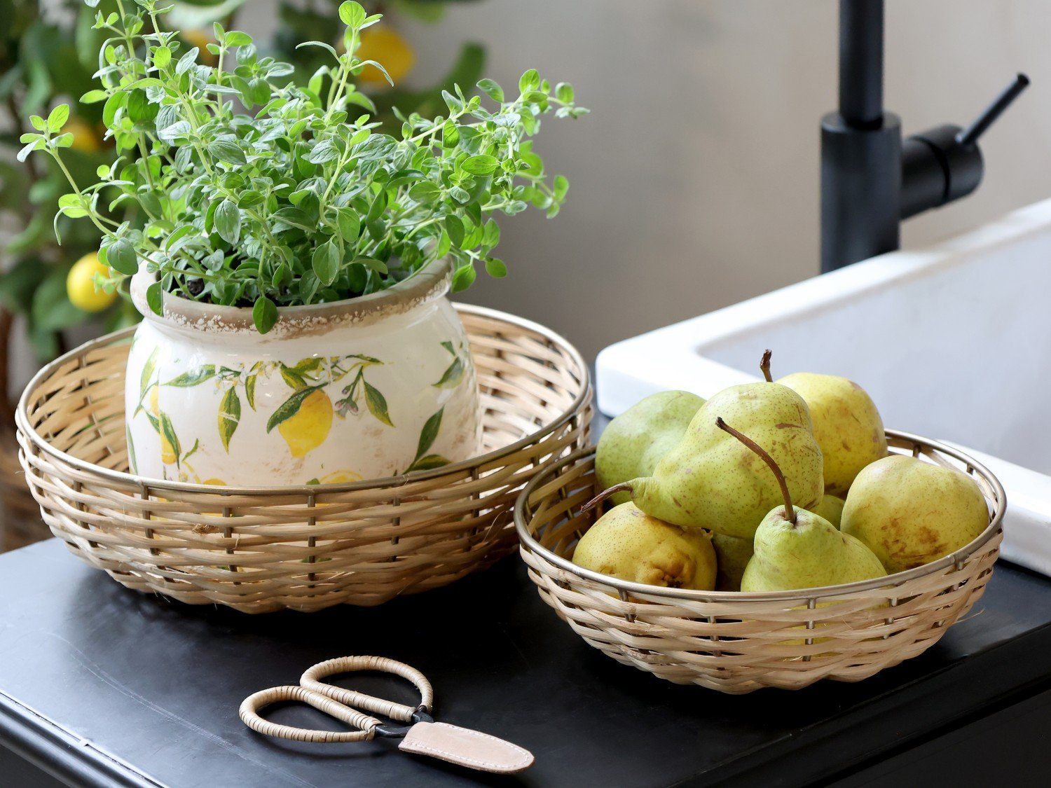 Chic Antique Übertopf Chic Antique * günstig online kaufen
