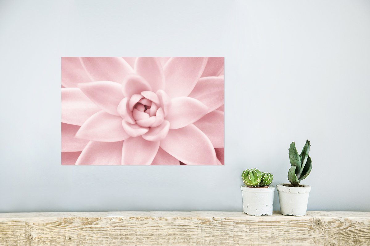 MuchoWow Wandbild, Poster Ohne Wohnzimmer, für Natur Rosa Blume Rahmen Pflanze, St), (1 - Poster, - - Wandposter