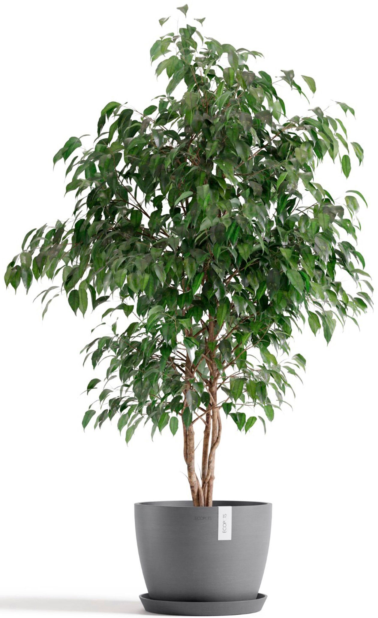 ECOPOTS Blumentopf Stockholm 31 Grau, für günstig online kaufen