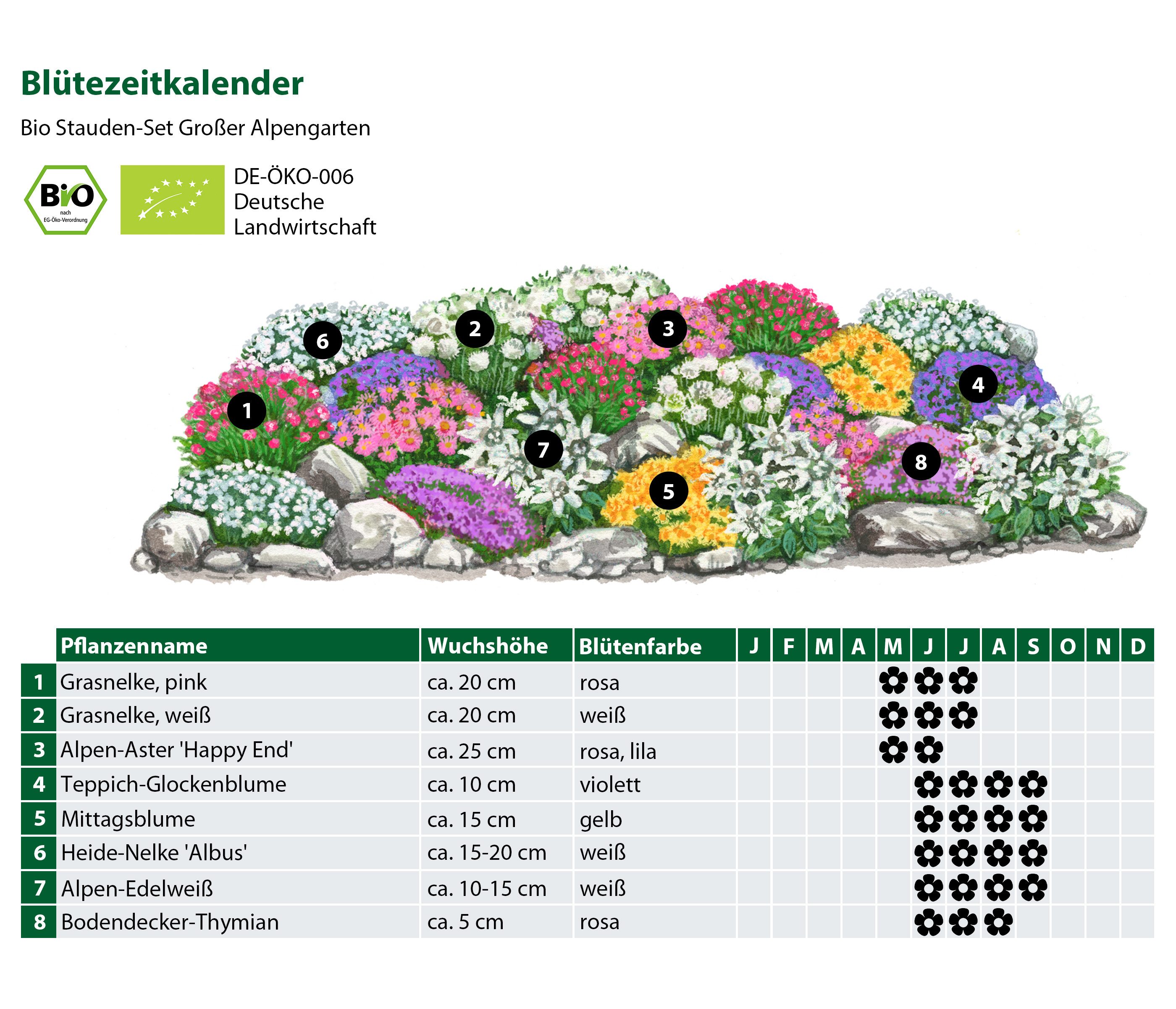 Dehner Staude Bio Stauden-Set Großer Alpengarten, 8 Sorten je 3 Stk., mehrjährige Gartenstauden für sonnige und karge Steingärten