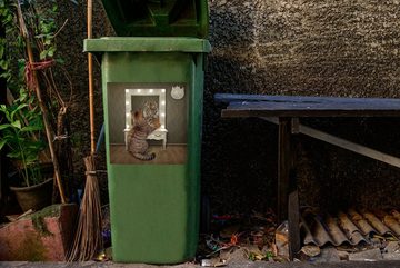 MuchoWow Wandsticker Tiger - Spiegel - Katze (1 St), Mülleimer-aufkleber, Mülltonne, Sticker, Container, Abfalbehälter