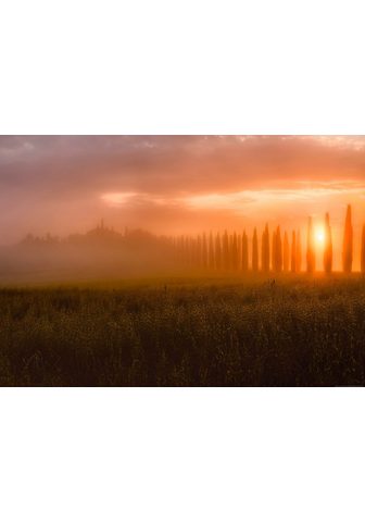 IDEALDECOR Фотообои »Toskana Sonnenaufgang&...