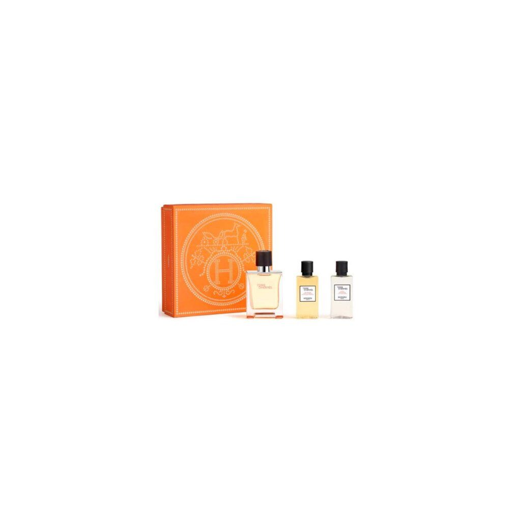 HERMÈS Duft-Set Terre D' EDT 50 ml + DUSCHGEL 40 ml + AFTER SHAVE 40 ml