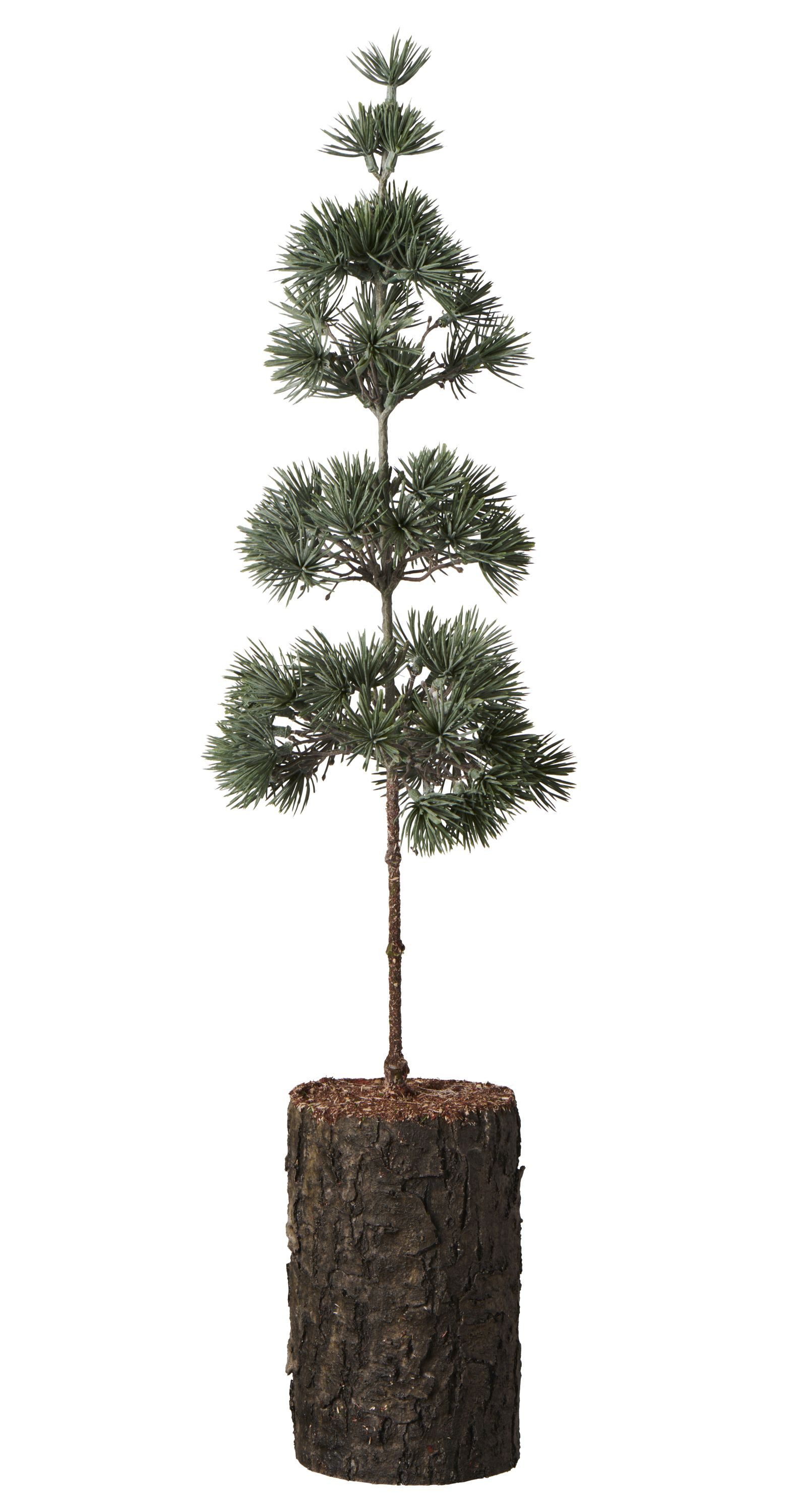 Ib Laursen Künstlicher Weihnachtsbaum Ib Laursen - Zedernbaum mit Rindenfuß Künstlich H 60cm Weihnachtsbaum