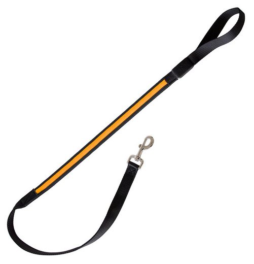 PRECORN Hundeleine »LED Hundeleine Leine Leuchtleine „Zandoo“ Hunde