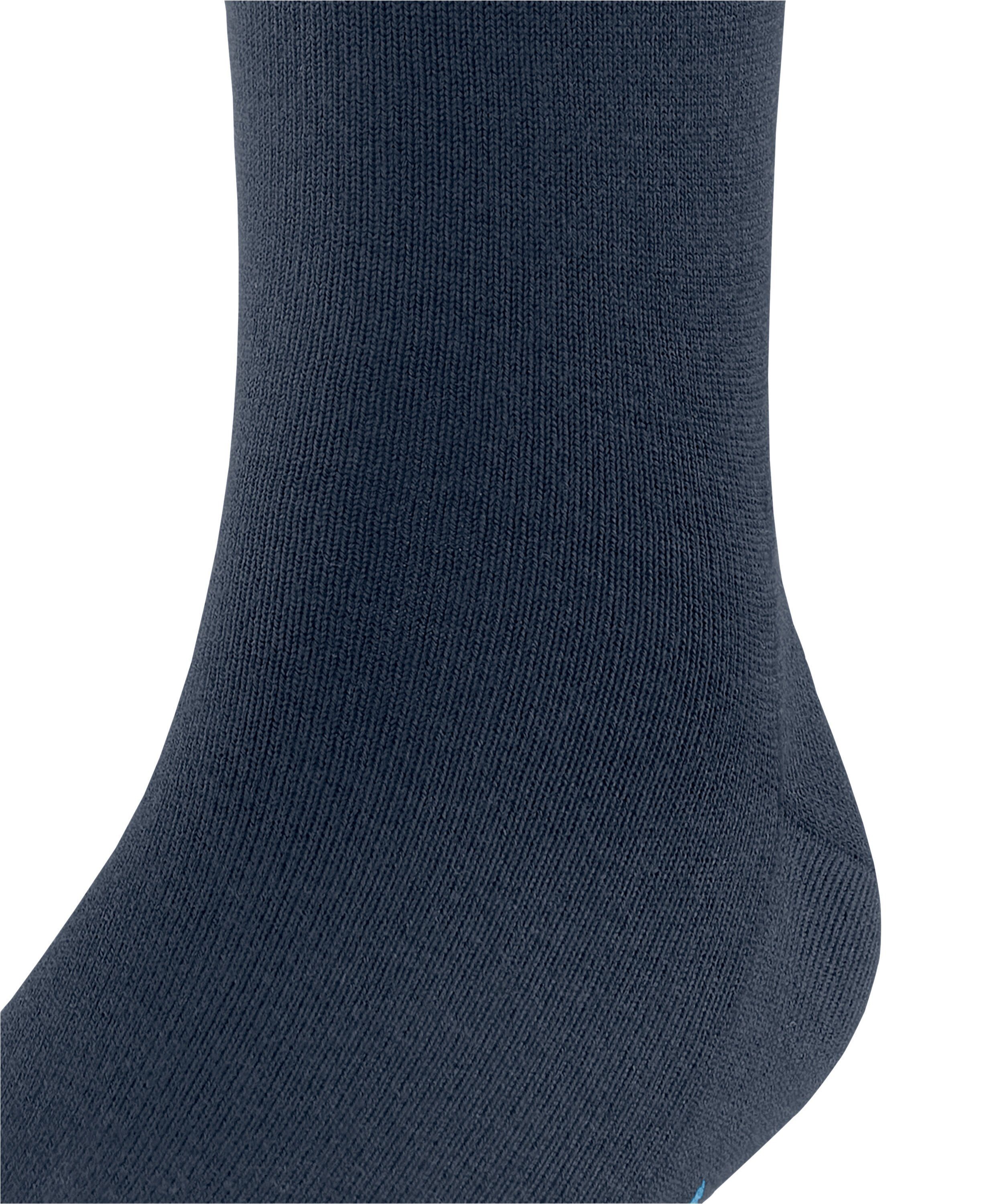 Socken 24/7 Cool blue (6115) FALKE (1-Paar) royal