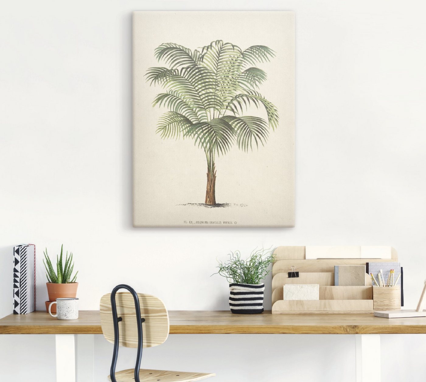 Artland Wandbild »Palme II«, Pflanzen (1 Stück), in vielen Größen & Produktarten - Alubild / Outdoorbild für den Außenbereich, Leinwandbild, Poster, Wandaufkleber / Wandtattoo auch für Badezimmer geeignet-kaufen