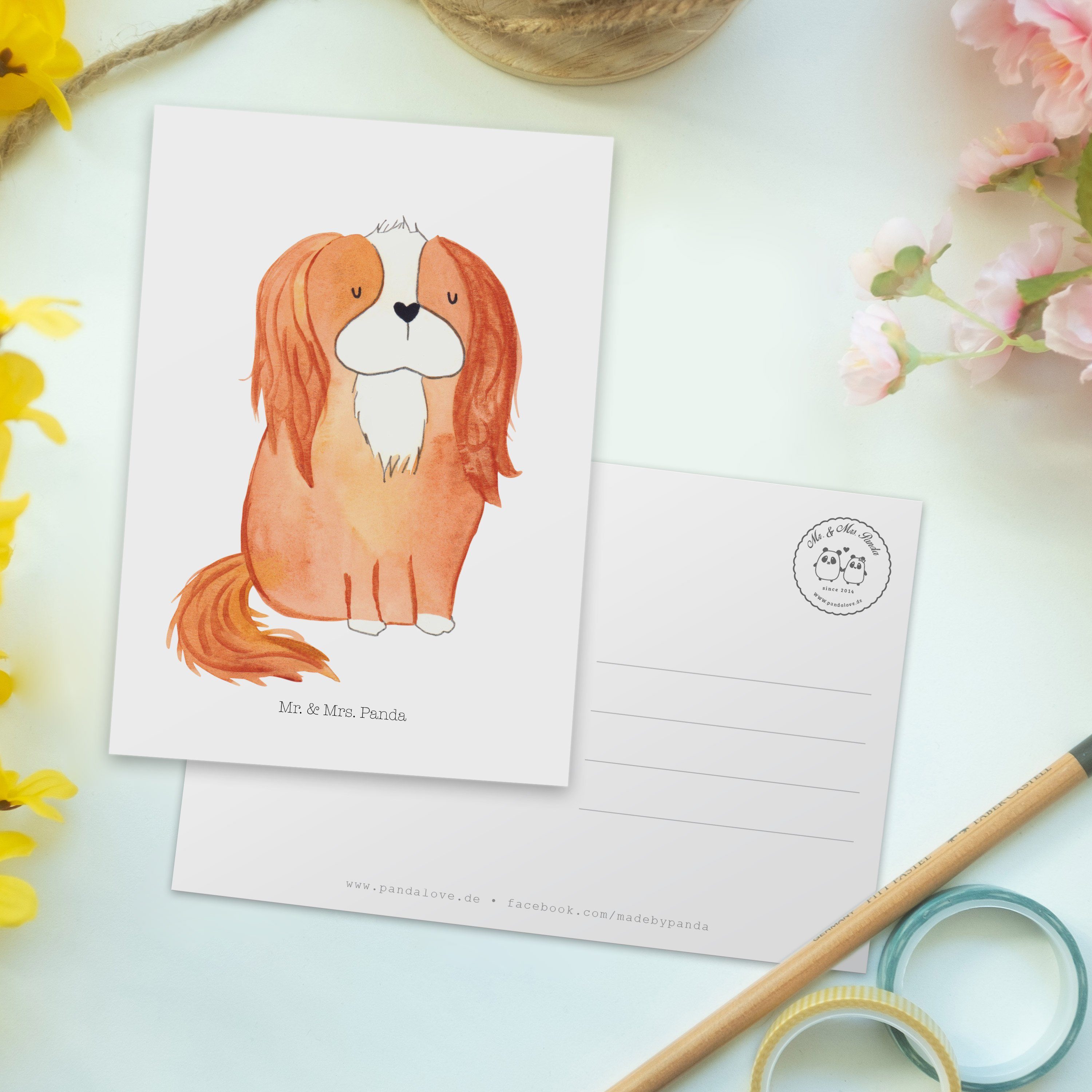 Mr. & Mrs. Panda Postkarte - King Weiß - Spaniel Charles Cavalier Hund, schönster Hund Geschenk