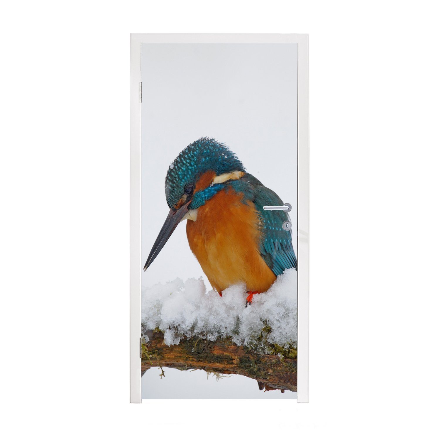 cm Schnee Winter, (1 Tür, Matt, Fototapete Eisvogel St), MuchoWow Türaufkleber, - für Türtapete - 75x205 bedruckt,