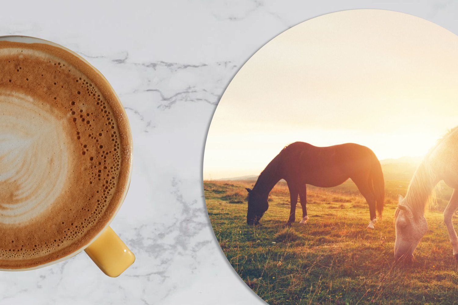 Getränkeuntersetzer, Korkuntersetzer, für MuchoWow 6-tlg., - Pferde Glasuntersetzer Tasse, Gläser, Sonne Becher Tiere, Tassenuntersetzer, - Zubehör