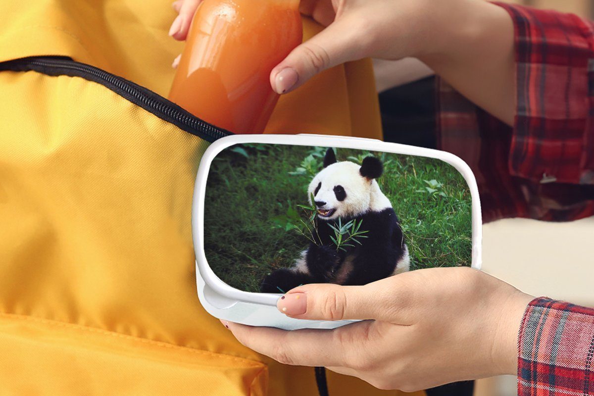 Kinder Bambus - - weiß und Lunchbox (2-tlg), für Erwachsene, Panda und Mädchen Jungs Wilde - Brotbox Gras, Tiere für Kunststoff, Brotdose, MuchoWow