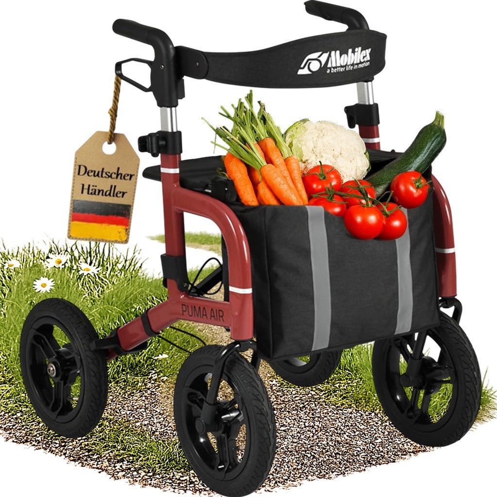 FabaCare Rollator Outdoor Puma Air Gehwagen, Gehhilfe für Senioren mit Luftbereifung