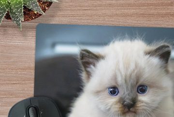 MuchoWow Gaming Mauspad Kätzchen - Katze - Tier (1-St), Mousepad mit Rutschfester Unterseite, Gaming, 40x40 cm, XXL, Großes