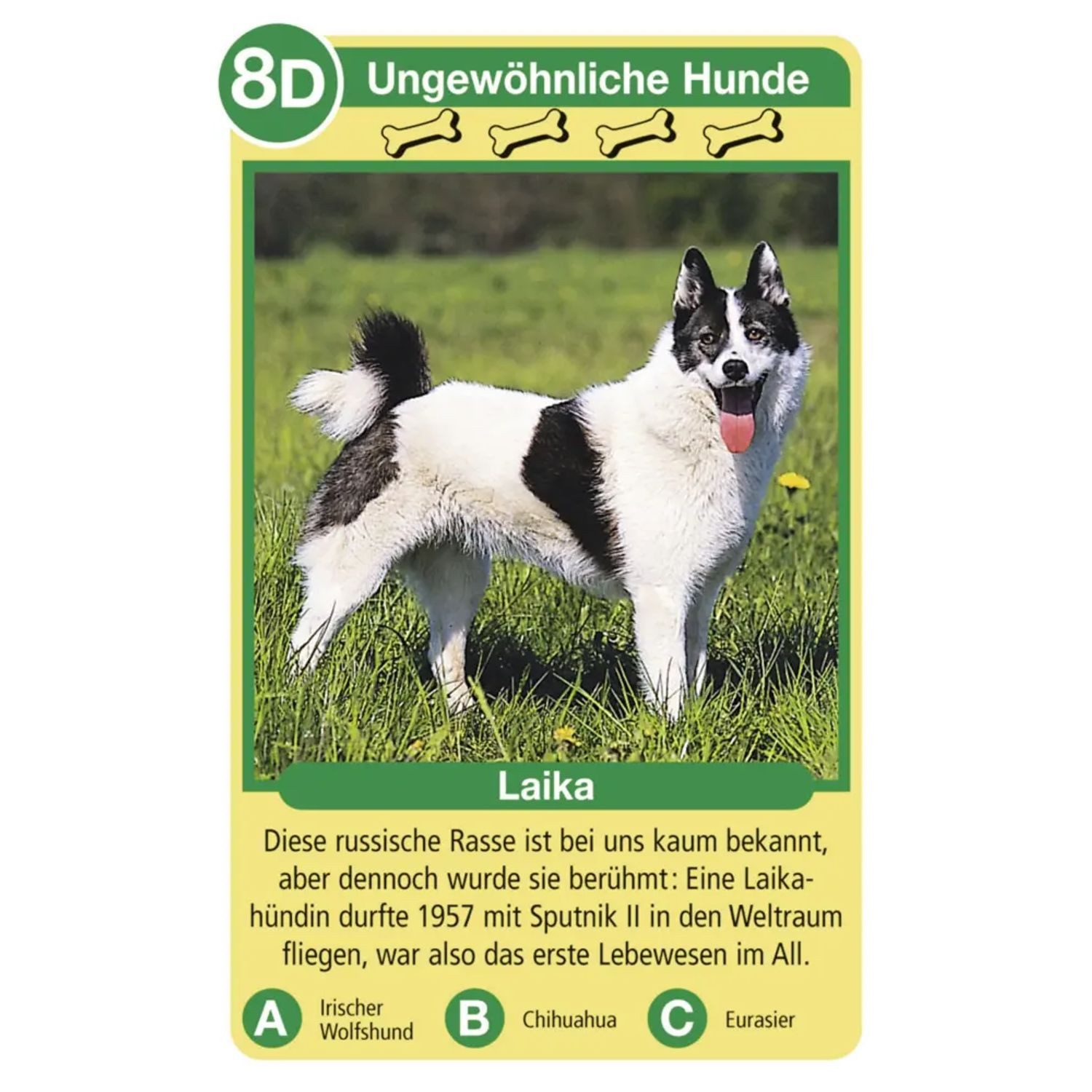Ravensburger Spiel Tierquartett Hunde - Kartenspiel ab 4 Jahre