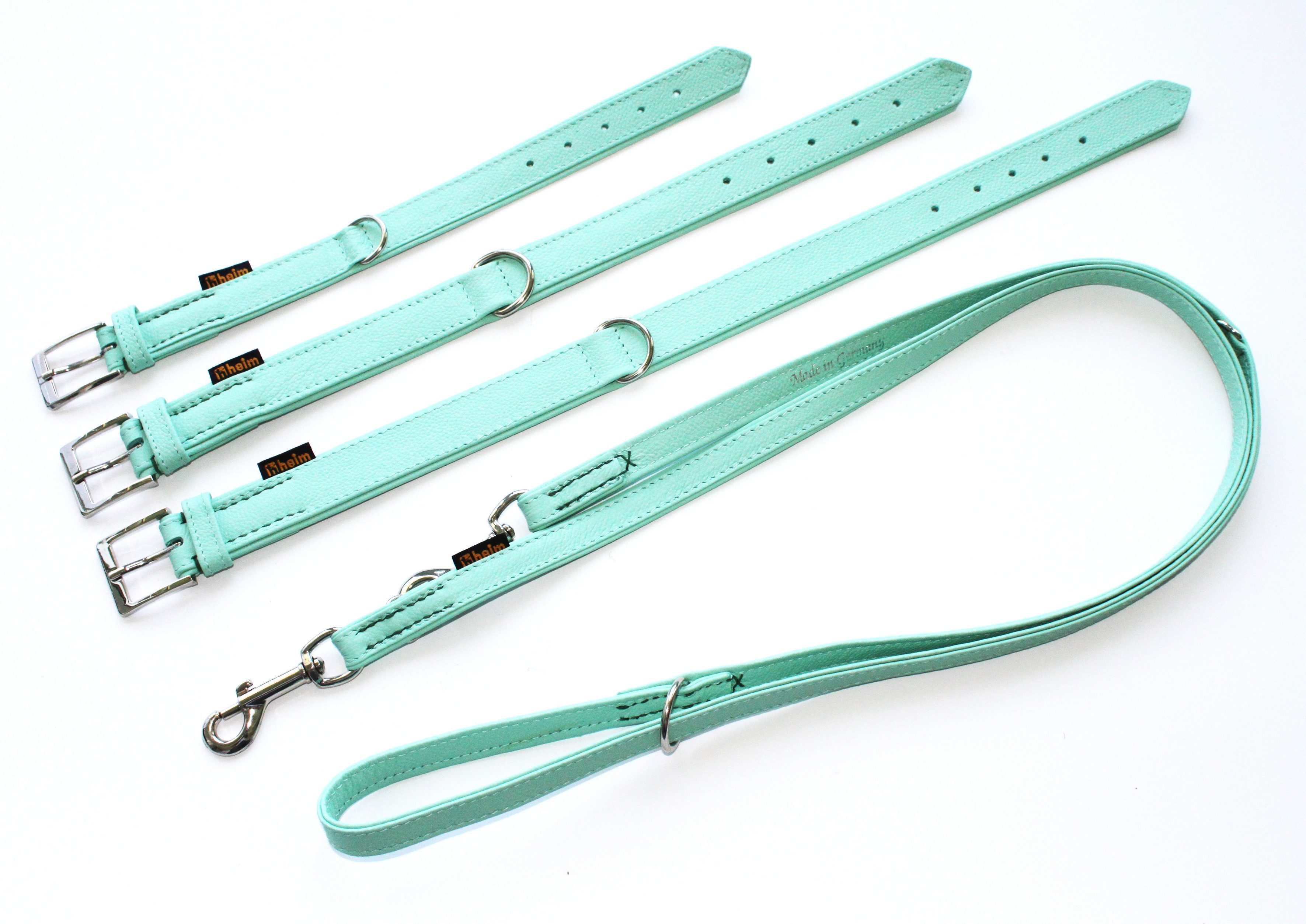 HEIM Hunde-Halsband Halsband + Führleine "Colour" mint, verschiedene Breiten und Длинаn