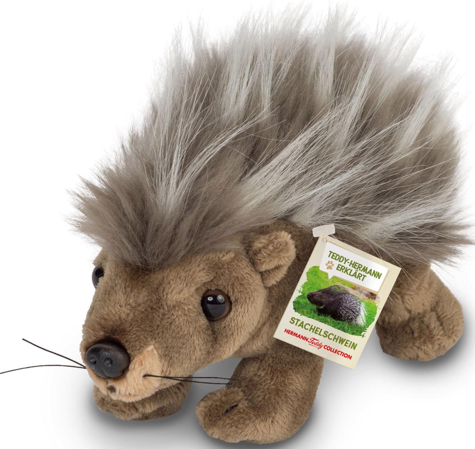 Image of Teddy Hermann® Kuscheltier »Teddy-Hermann erklärt…, Stachelschwein, 20 cm«