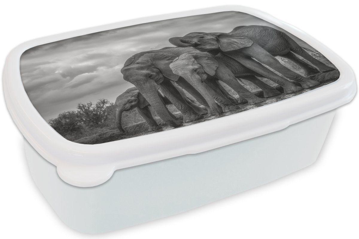 MuchoWow Lunchbox weiß, und - Brotbox Kunststoff, Brotdose, Wasser Jungs - für (2-tlg), Elefant Mädchen Kinder Schwarz und Erwachsene, und Tiere - für