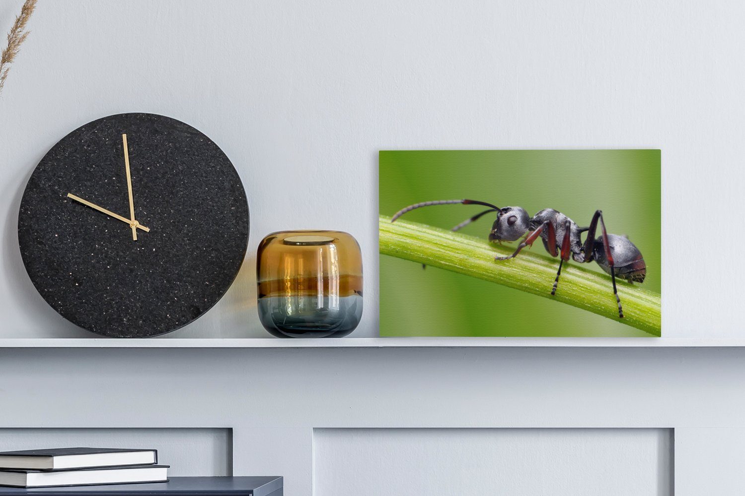 30x20 auf (1 cm Leinwandbilder, Wanddeko, Aufhängefertig, St), Stängel, Leinwandbild klettert grünen einen Ameise Eine Wandbild OneMillionCanvasses®