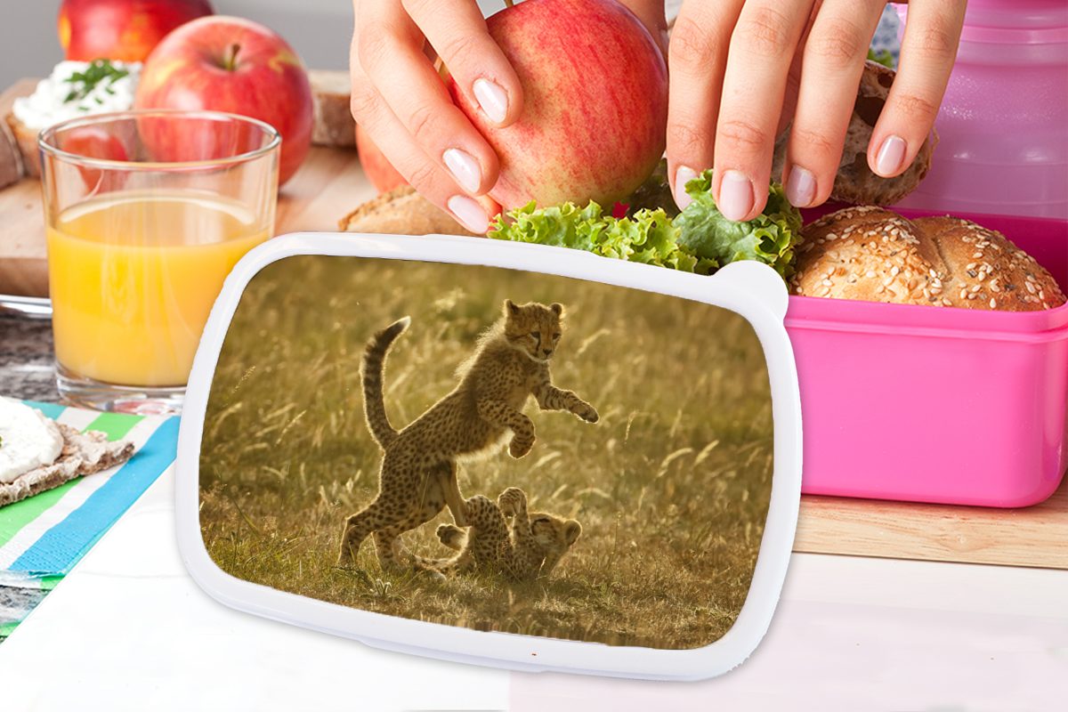 MuchoWow Lunchbox Gepard rosa Jungtiere Erwachsene, Snackbox, Kunststoff, Kunststoff für (2-tlg), - Mädchen, Safari, Brotbox - Kinder, Brotdose