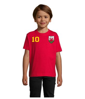 Blondie & Brownie T-Shirt Kinder Wales England Europa Fun Fan Sport Trikot Fußball Meister