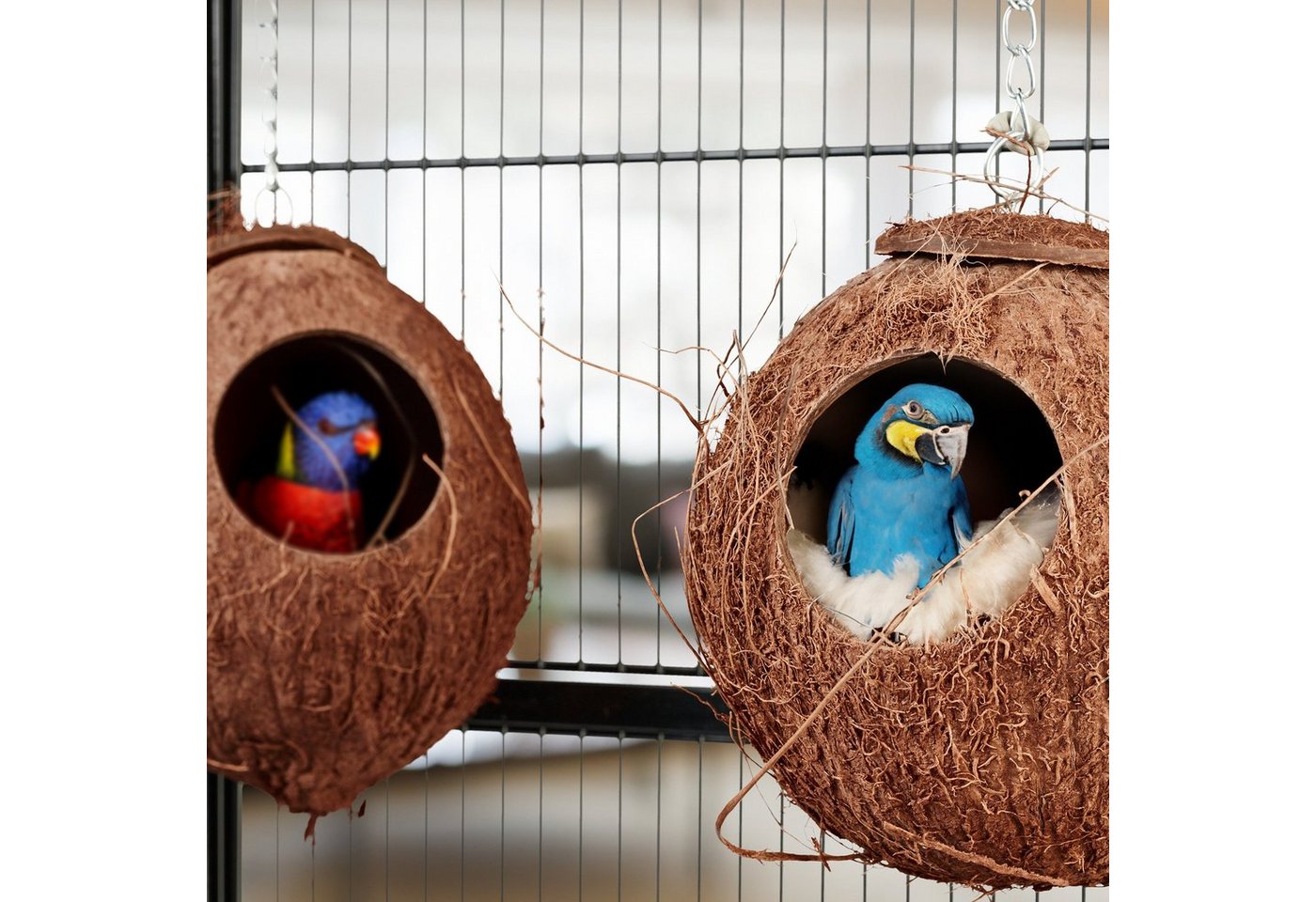 Thumbnail - relaxdays Vogelhaus Kokosnuss 2er Set