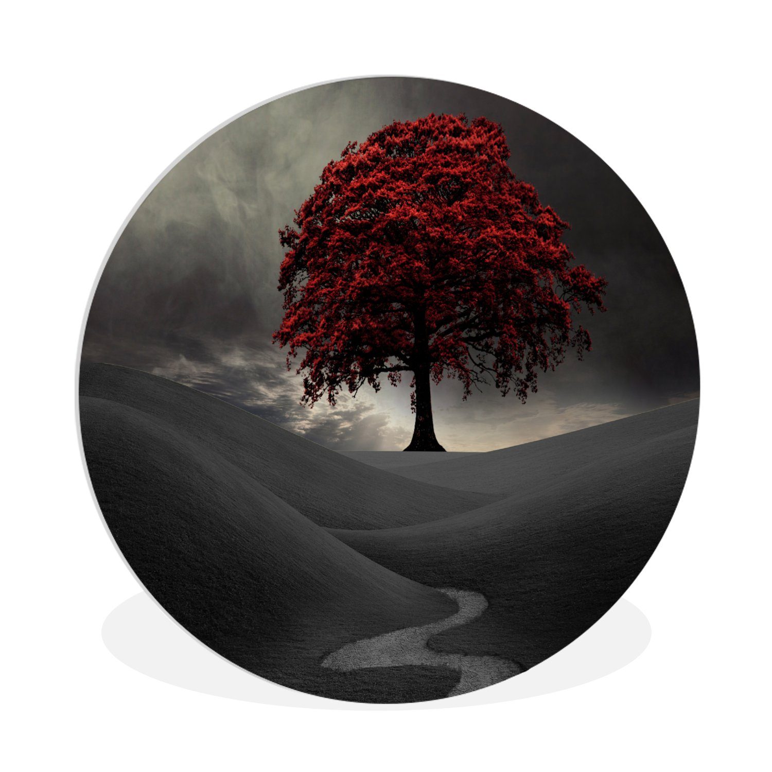 MuchoWow Gemälde Ein Schwarz-Weiß-Foto mit einem großen roten Baum, Fotodruck (1 St), Rundes wandbild für Wohnzimmer, Wandkreis, 90x90 cm