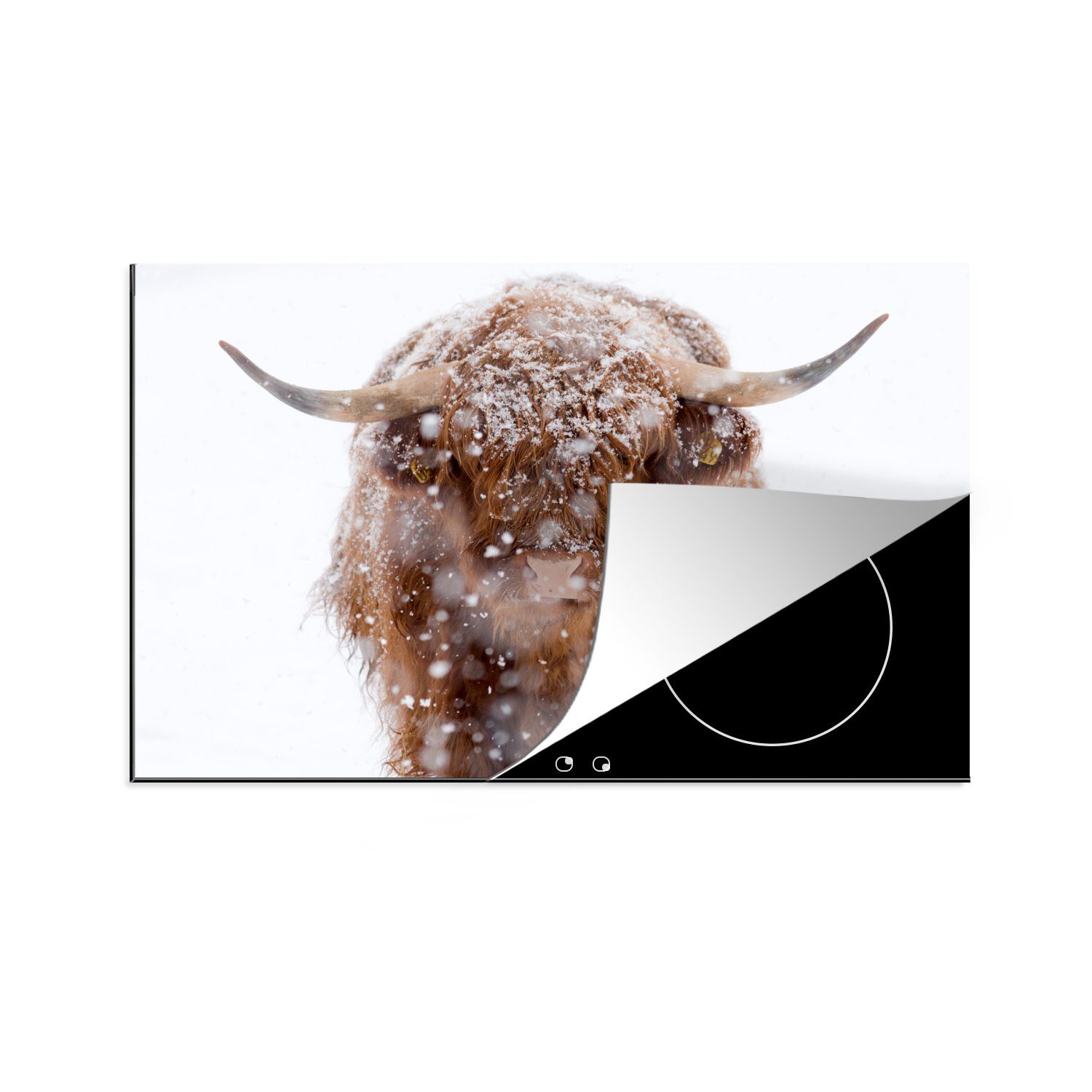 MuchoWow Herdblende-/Abdeckplatte Schottischer Highlander - küche, für (1 Vinyl, Induktionskochfeld 81x52 tlg), Ceranfeldabdeckung Schnee Schutz Winter, die cm, 