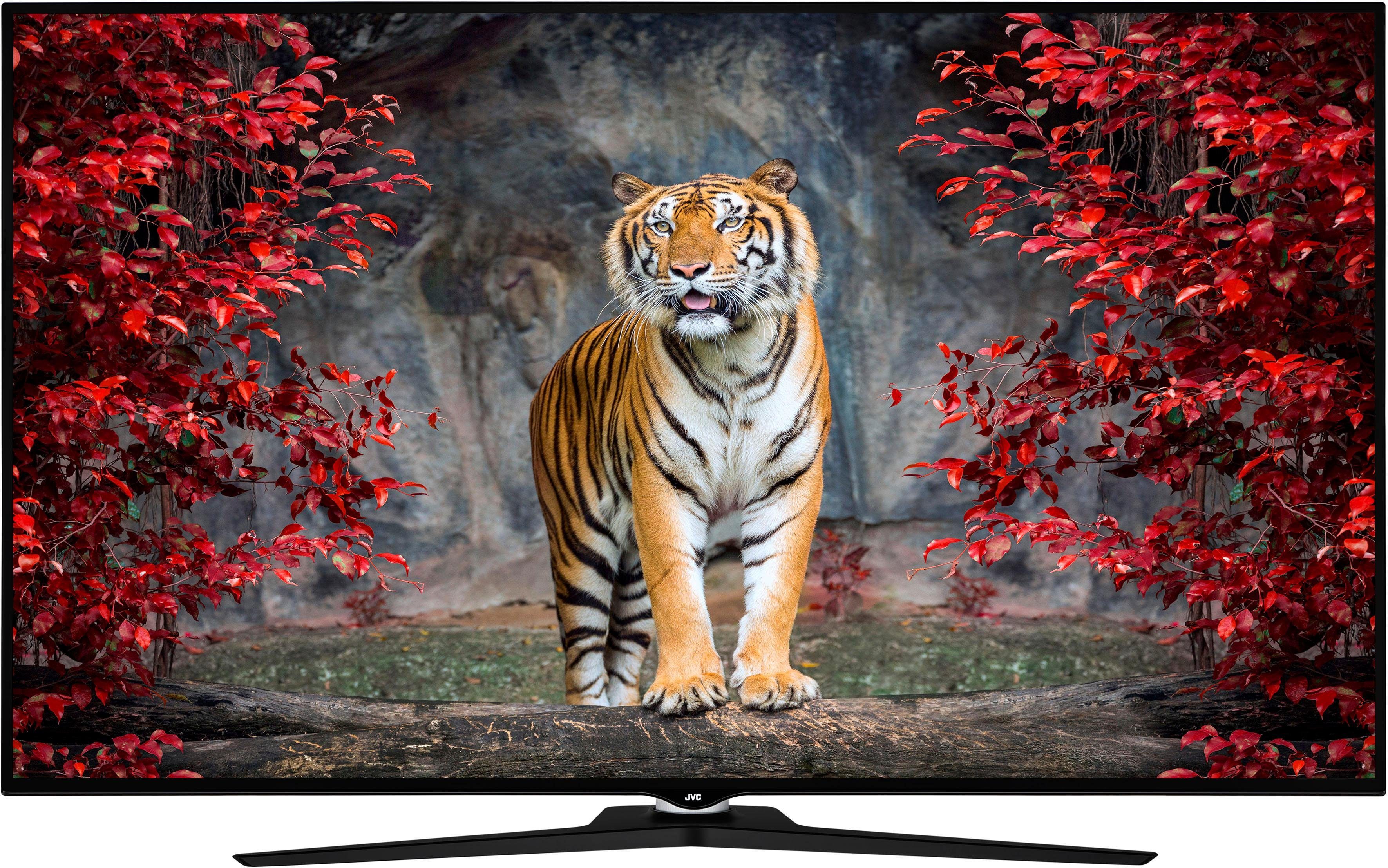 JVC LT-50VU980 LED-Fernseher (127 cm/50 Zoll, 4K Ultra HD, Smart-TV) - JVC