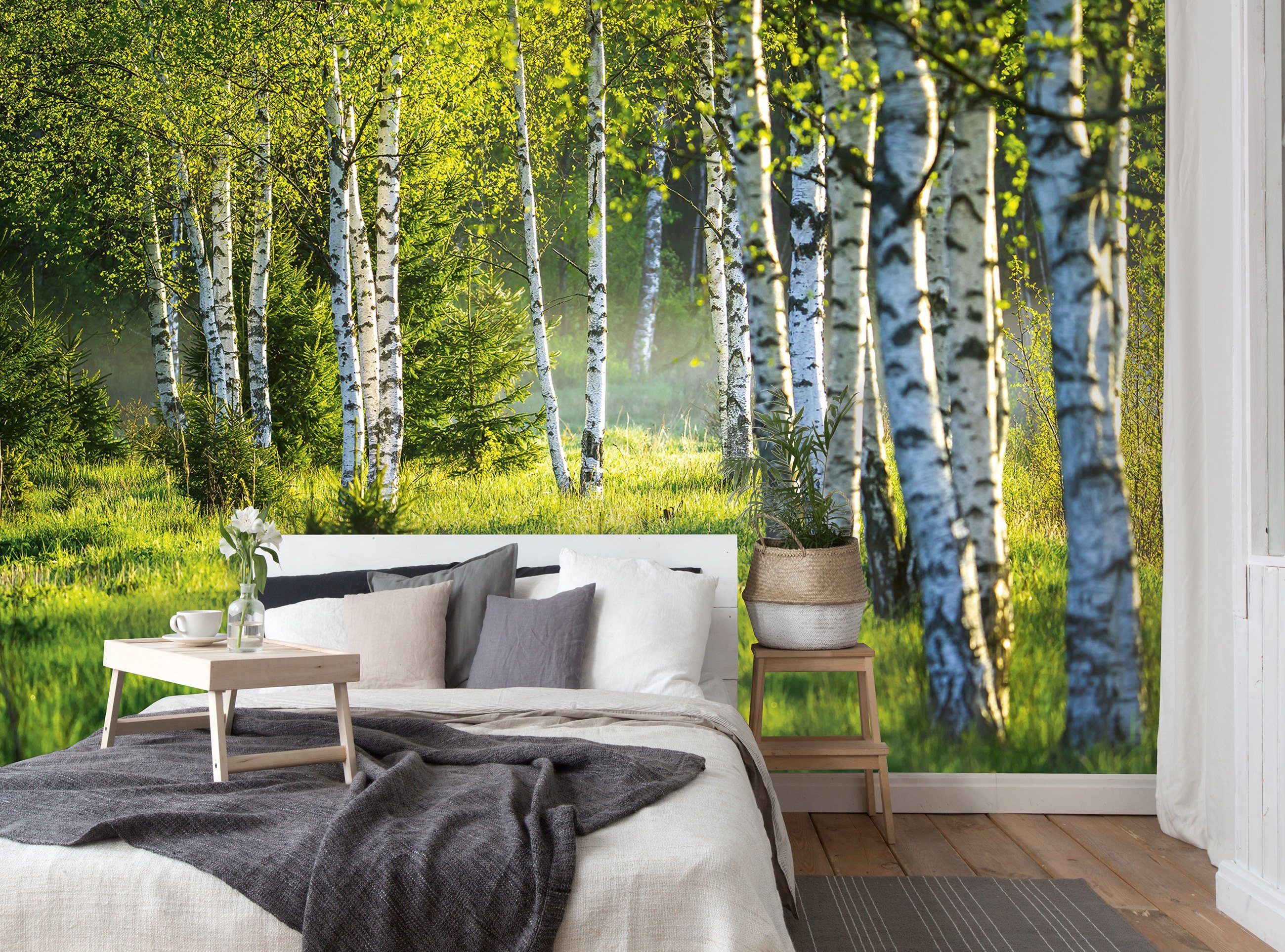 Wallarena Fototapete Wald Birkenwald Birken 3D Schlafzimmer Sonne Natur für Vliestapete Vliestapete oder Wandtapete Wald, inklusive Glatt, Motivtapete, Wohnzimmer Vlies EFFEKT Kleister Tapete