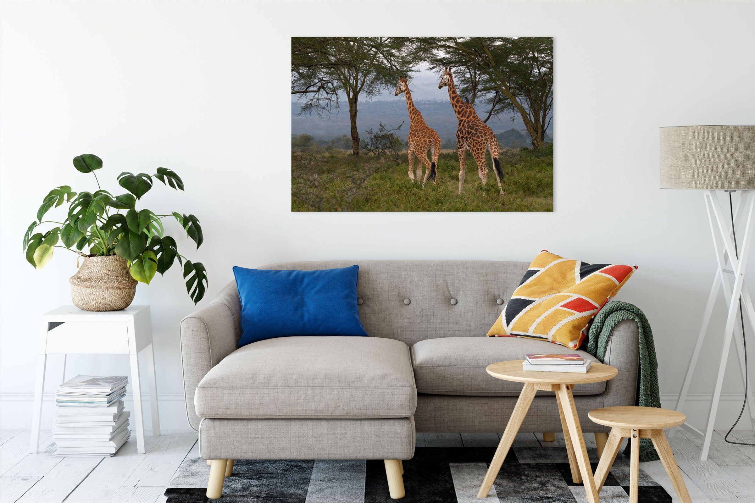 Pixxprint Leinwandbild anmutige Giraffen in der günstig online kaufen