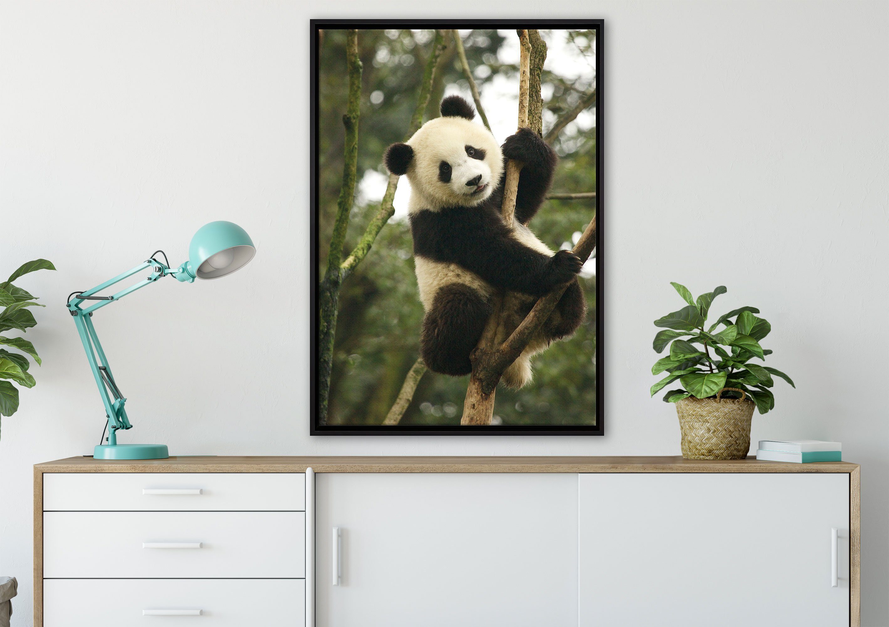 Leinwandbild Pixxprint einem Leinwandbild gefasst, fertig (1 Baum, Schattenfugen-Bilderrahmen Wanddekoration inkl. auf bespannt, Zackenaufhänger St), Pandabär in niedlicher