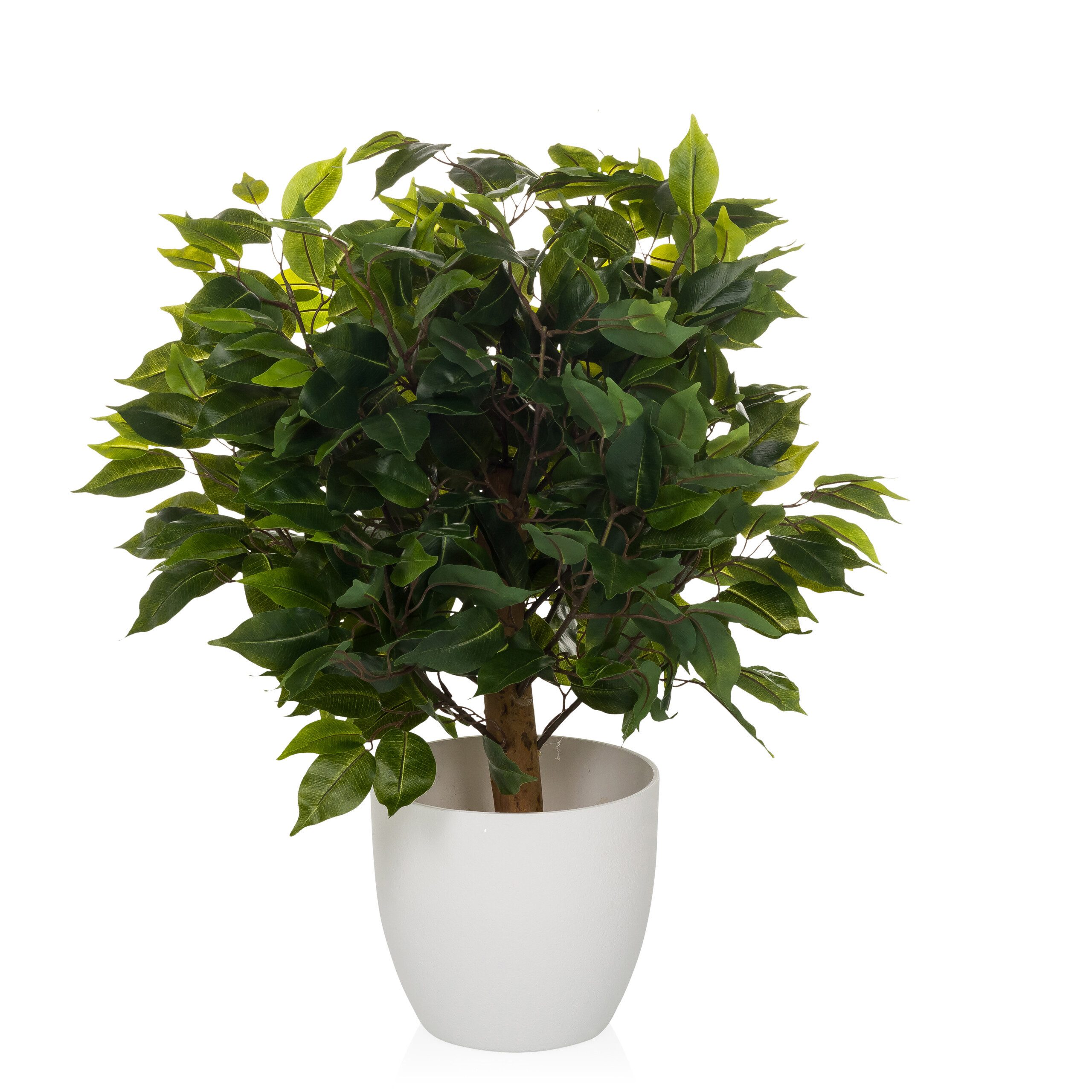Kunstpflanze Kunstpflanze FICUS II Kunststoff Birke, hjh OFFICE, Höhe 65.0 cm, Künstliche Pflanze Zimmerpflanze im Topf, Benjamini