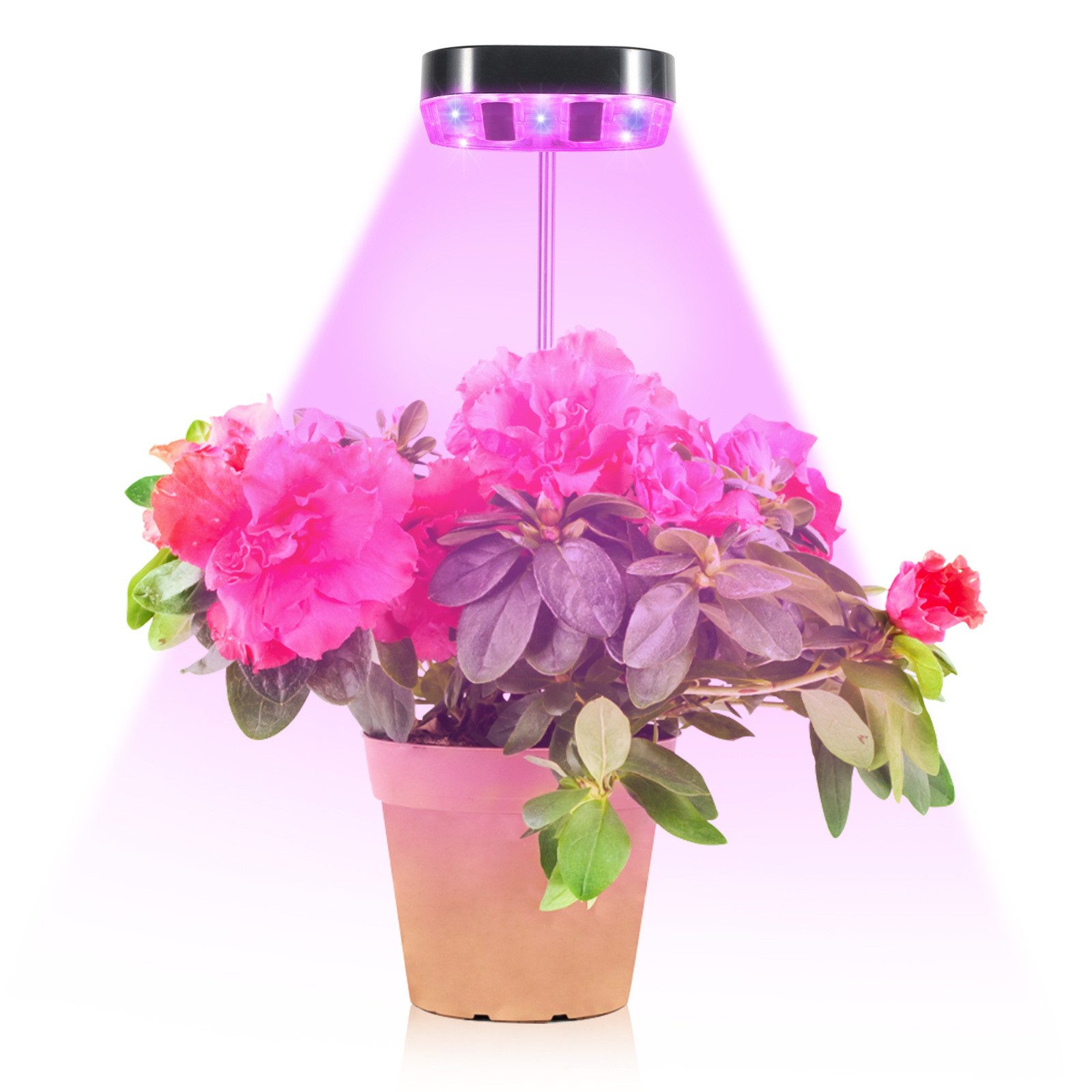 Rosnek Pflanzenlampe Vollspektrum, 3 Farben, dimmbar, Timer, USB, für Zimmerpflanze, Sukkulente Pflanze Garten Topfpflanze Saatgut Anzucht, höhenverstellbar