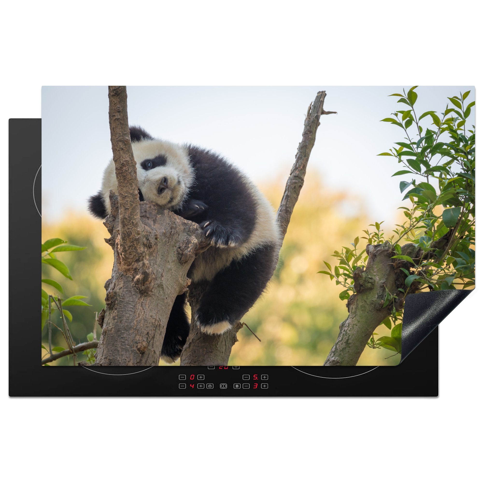 MuchoWow Herdblende-/Abdeckplatte Panda - Schlafend - Tier, Vinyl, (1 tlg), 81x52 cm, Induktionskochfeld Schutz für die küche, Ceranfeldabdeckung