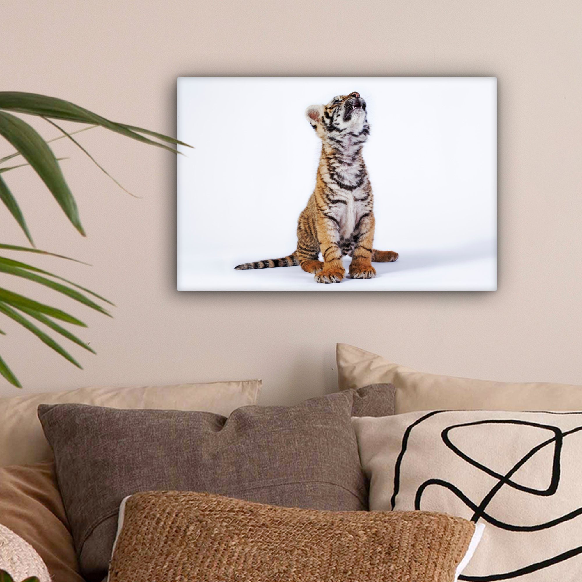 bunt Wandbild Leinwandbild Leinwandbilder, OneMillionCanvasses® Wanddeko, Jungtier Tiger (1 Aufhängefertig, cm - Weiß, 30x20 - St),