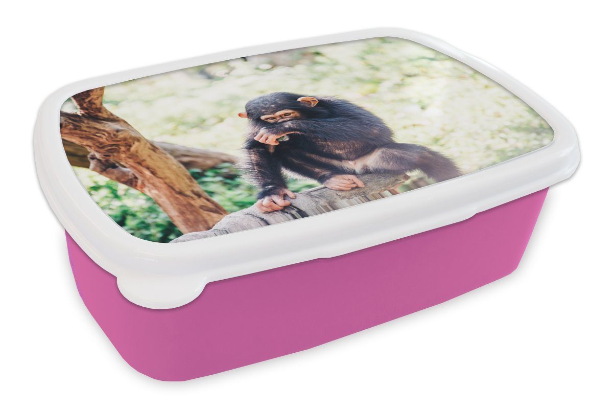 MuchoWow Lunchbox Nahaufnahme Schimpansenaffe sitzend im Wald, Kunststoff, (2-tlg), Brotbox für Erwachsene, Brotdose Kinder, Snackbox, Mädchen, Kunststoff rosa
