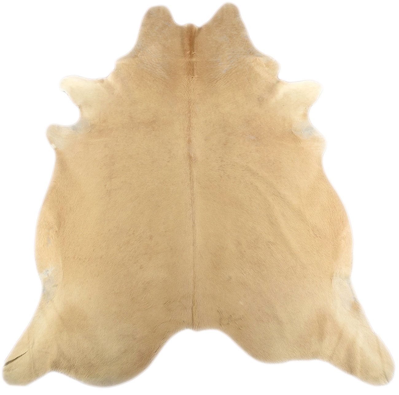 KUHFELL online & NOMAD Fellteppich Kuhfell Beige Rinder Fell Teppich Hellbraun Beige in L & XL