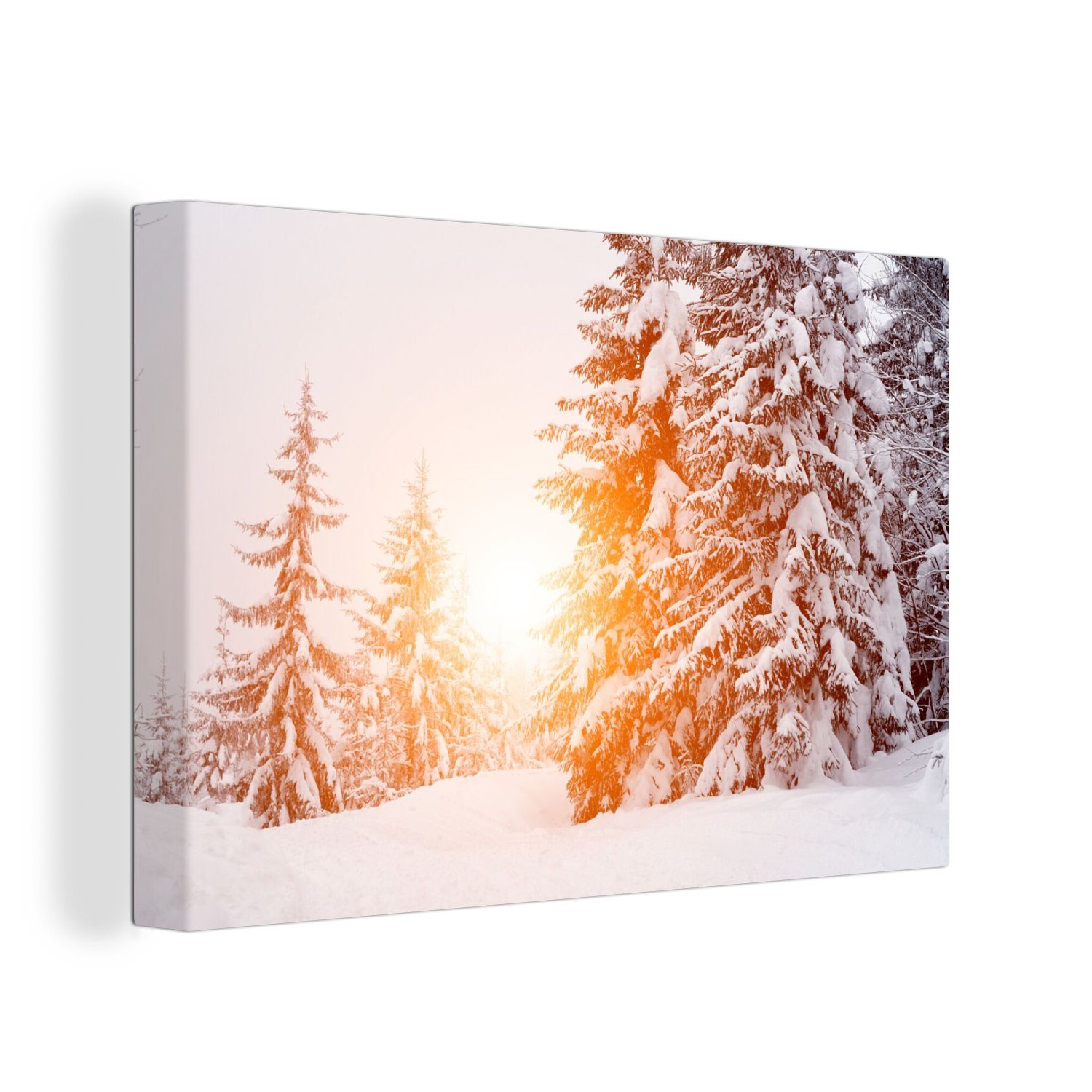 OneMillionCanvasses® Leinwandbild Sonne - Bäume - günstig online kaufen