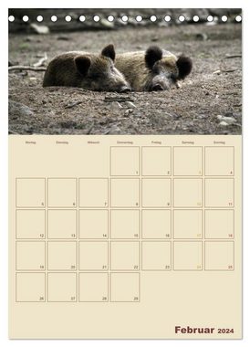 CALVENDO Wandkalender Wildschweine (Tischkalender 2024 DIN A5 hoch), CALVENDO Monatskalender